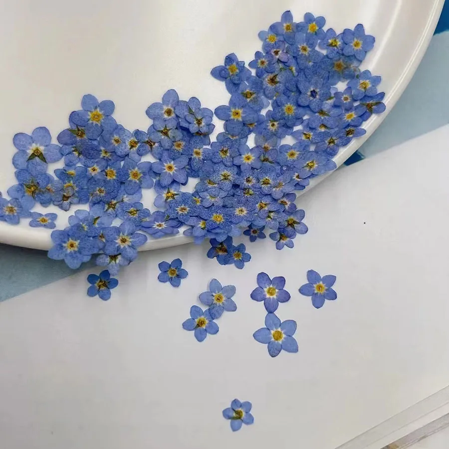 Natural Pressed Dried Blue For - Dried Flower Bookmark 评论和价格