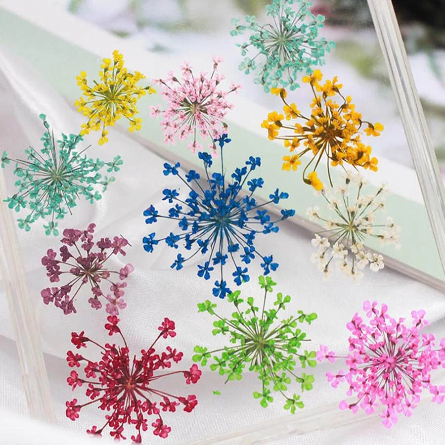 60pcs Pressed Dried 20-25mm Am - Dried Flower Bookmark 评论和价格