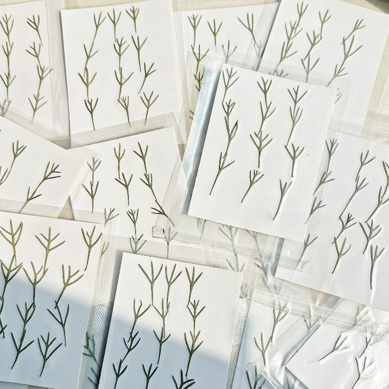 24pcs,Real Pressed Achillea Le - Dried Flower Bookmark 评论和价格