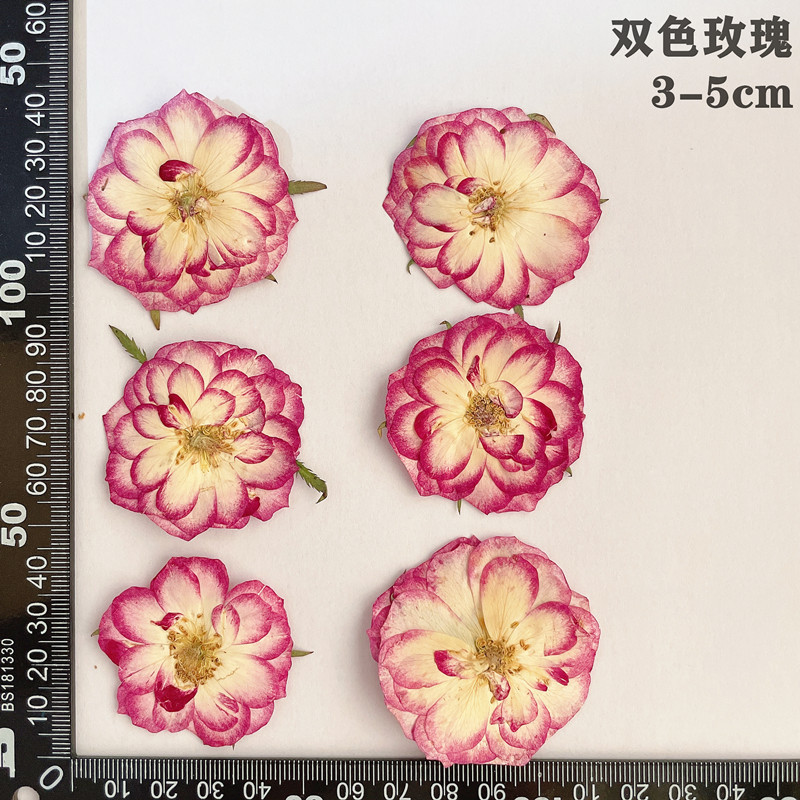 60pcs Pressed Dried Red Yellow - Dried Flower Bookmark 评论和价格