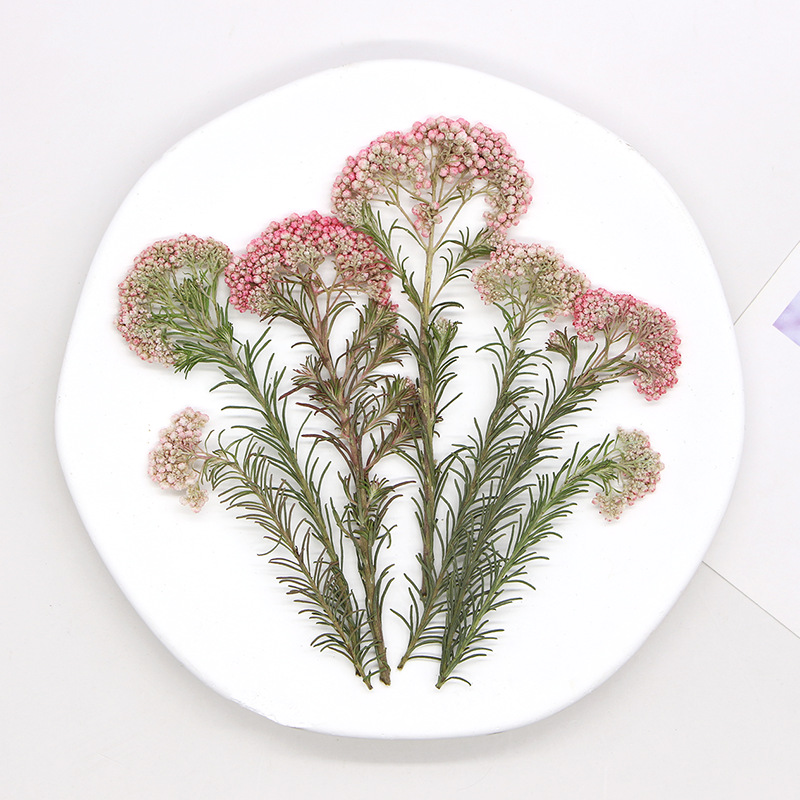 12pcs, Nature Millet Flower Br - Dried Flower Bookmark 评论和价格