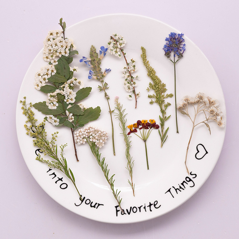 500Pcs Large Package of Fern P - Dried Flower Bookmark 评论和价格