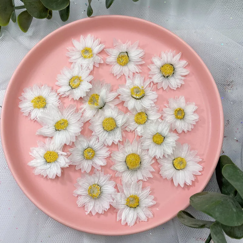 24pcs/2-4CM,Natural Pressed Fl - Dried Flower Bookmark 评论和价格