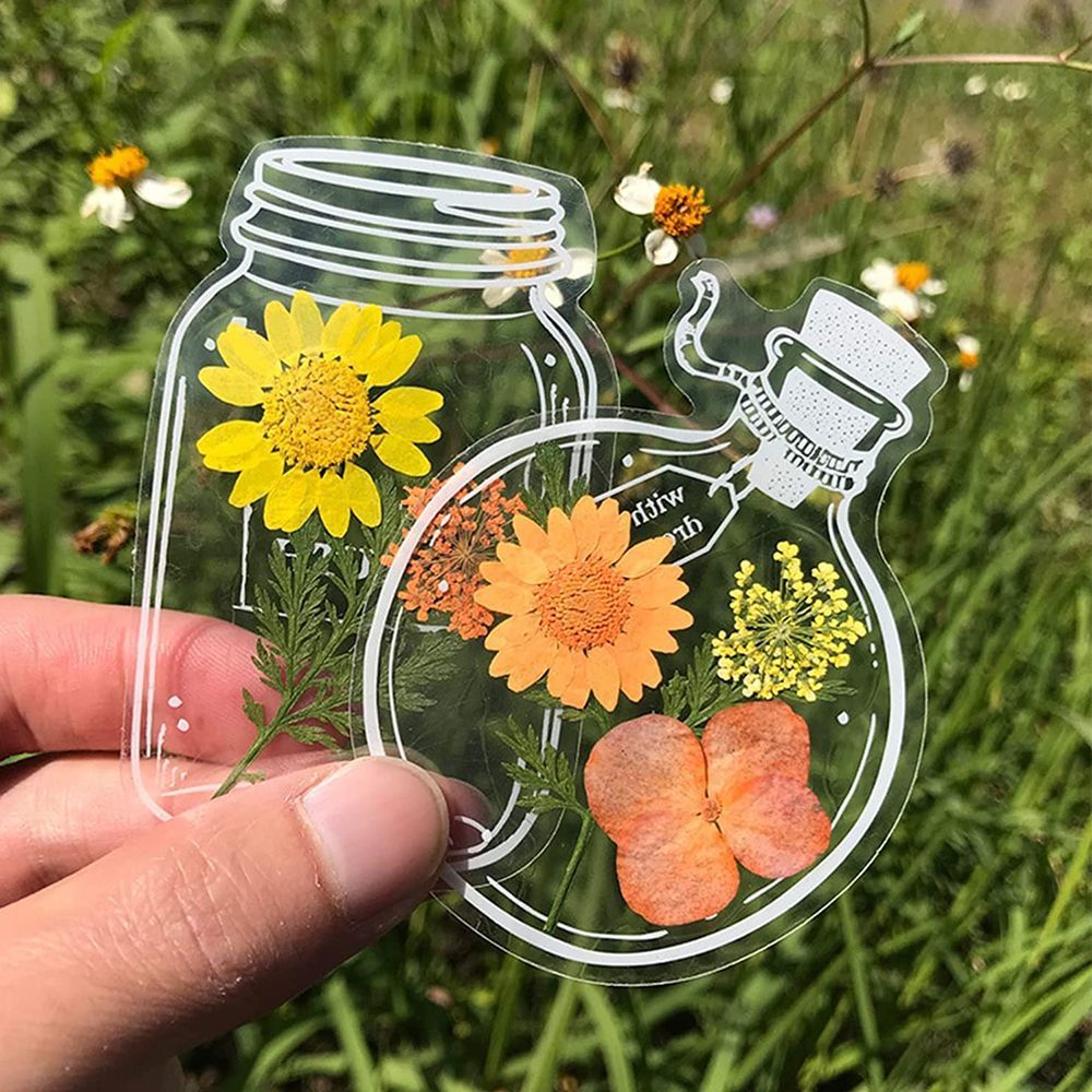 30Pcs Transparent Dried Flower - Dried Flower Bookmark 评论和价格